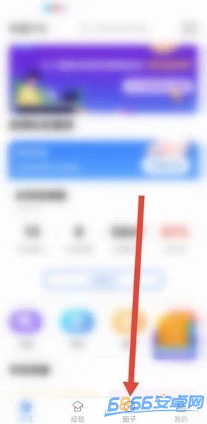 羊駝PTE
