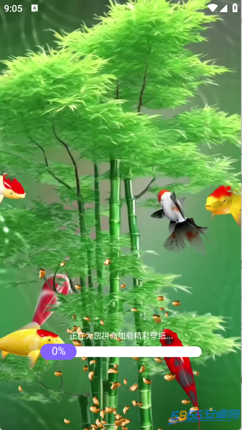 荷花錦鯉壁紙