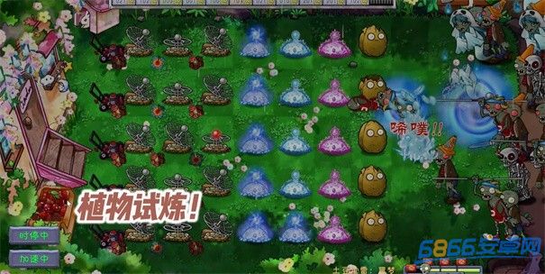 植物大戰(zhàn)僵尸共生版