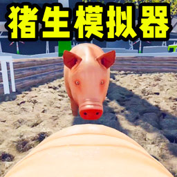 可愛小豬
